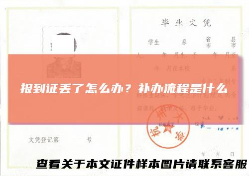 报到证丢了怎么办？补办流程是什么