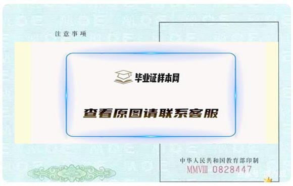 报到证丢了怎么办