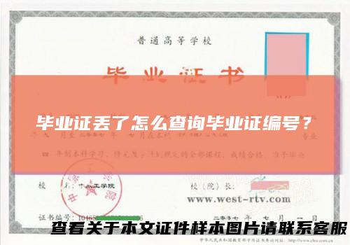 毕业证丢了怎么查询毕业证编号？