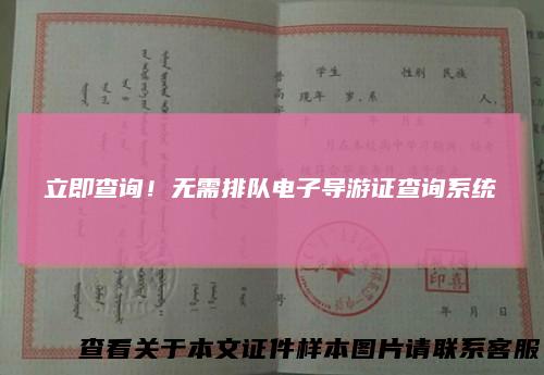 立即查询！无需排队电子导游证查询系统