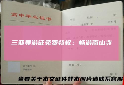 三亚导游证免费特权:畅游南山寺
