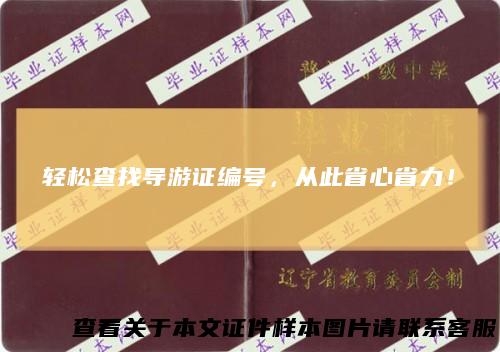 轻松查找导游证编号，从此省心省力！