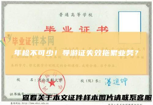 年检不可少！导游证失效拖累业务？