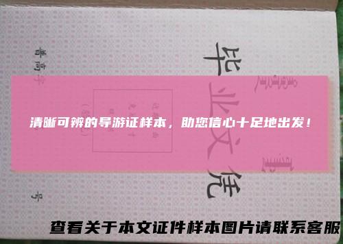 清晰可辨的导游证样本，助您信心十足地出发！