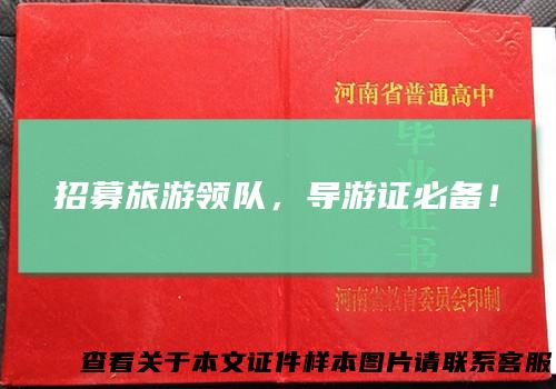 招募旅游领队，导游证必备！
