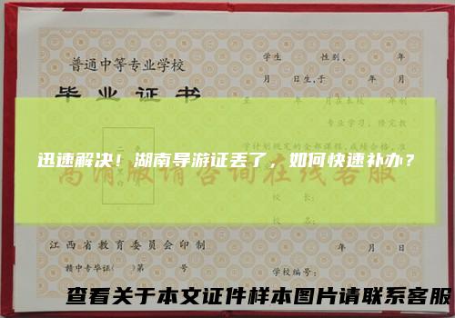 迅速解决！湖南导游证丢了，如何快速补办？