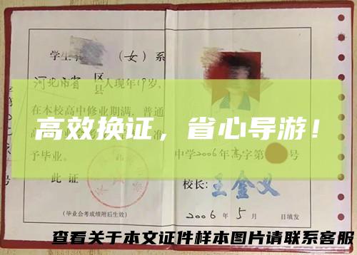 高效换证，省心导游！