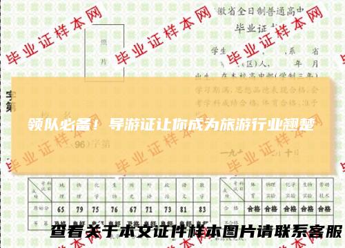 领队必备！导游证让你成为旅游行业翘楚