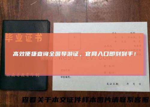 高效便捷查询全国导游证,官网入口即刻到手!
