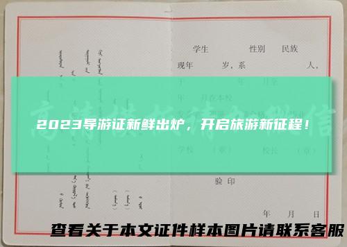 2023导游证新鲜出炉,开启旅游新征程!
