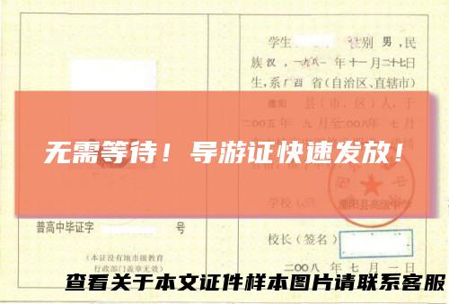 无需等待！导游证快速发放！