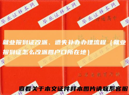就业报到证改派、遗失补办办理流程（就业报到证怎么改派回户口所在地）