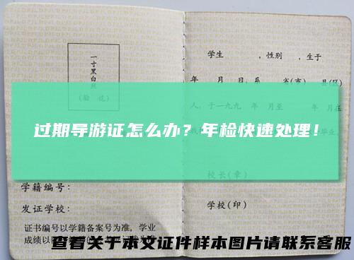 过期导游证怎么办？年检快速处理！