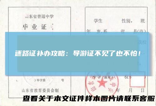 迷路证补办攻略：导游证不见了也不怕！
