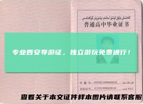 专业西安导游证，独立游玩免费通行！
