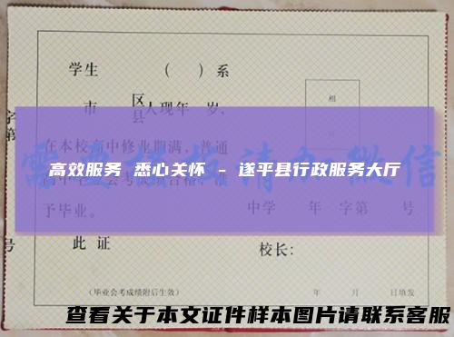 高效服务 悉心关怀 - 遂平县行政服务大厅