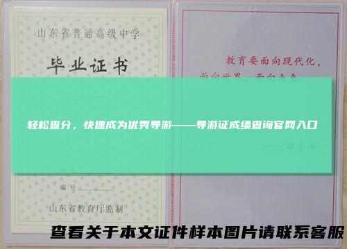 轻松查分，快速成为优秀导游——导游证成绩查询官网入口