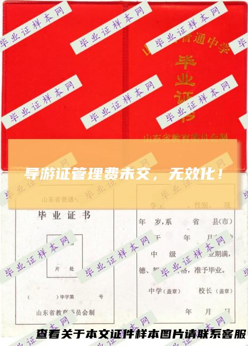 导游证管理费未交,无效化!