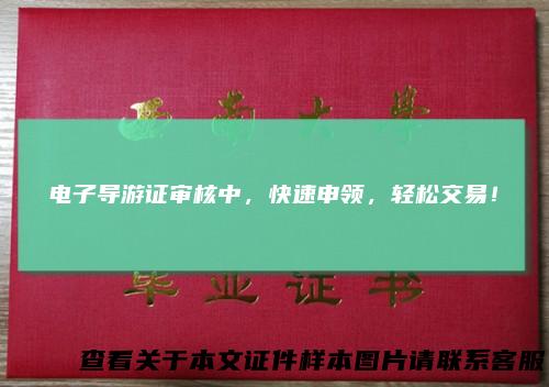 电子导游证审核中，快速申领，轻松交易！