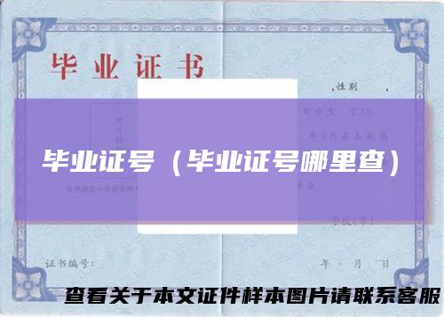 毕业证号（毕业证号哪里查）