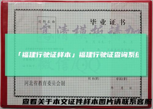「福建行驶证样本」福建行驶证查询系统