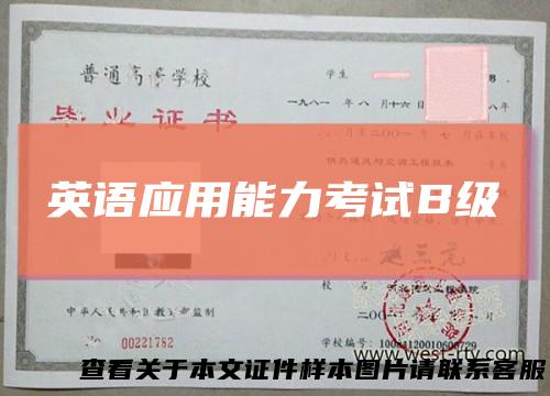 英语应用能力考试B级