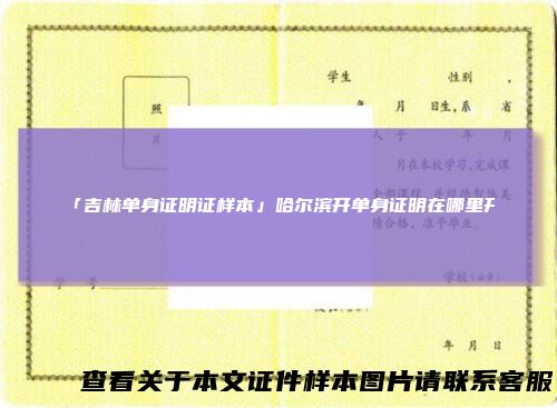 「吉林单身证明证样本」哈尔滨开单身证明在哪里开