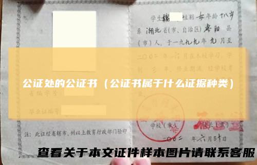 公证处的公证书（公证书属于什么证据种类）