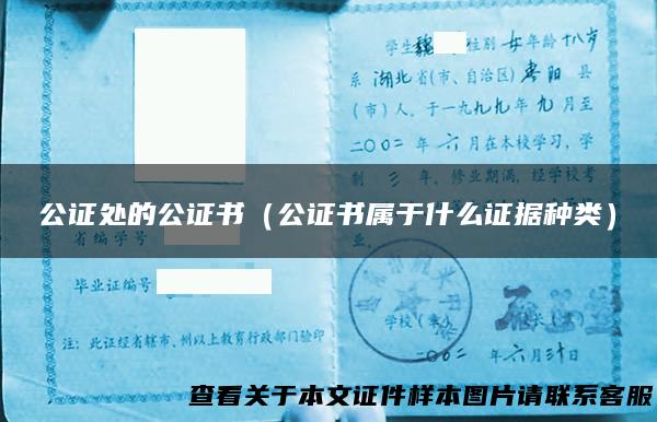 公证处的公证书（公证书属于什么证据种类）