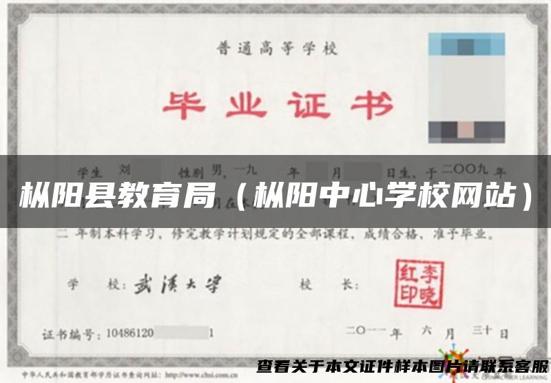枞阳县教育局（枞阳中心学校网站）