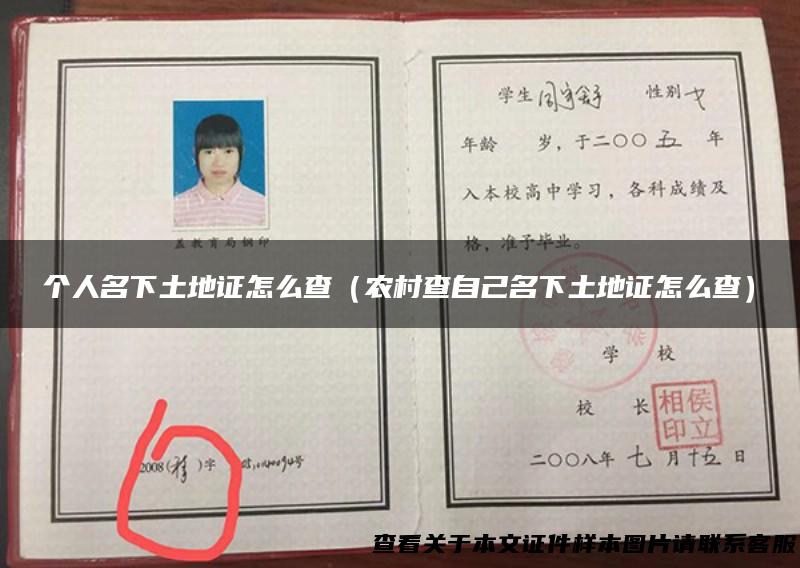 个人名下土地证怎么查（农村查自己名下土地证怎么查）