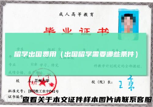 留学出国费用（出国留学需要哪些条件）