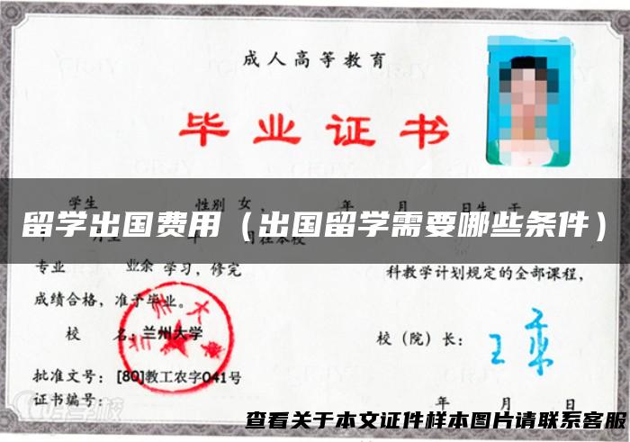 留学出国费用（出国留学需要哪些条件）