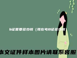 b证需要多少钱（现在考B证多少钱）
