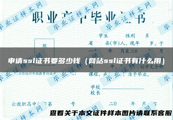 申请ssl证书要多少钱（网站ssl证书有什么用）
