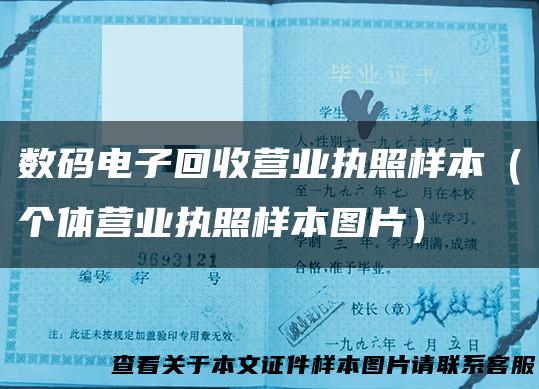 数码电子回收营业执照样本（个体营业执照样本图片）
