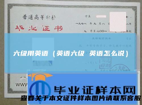 六级用英语(英语六级英语怎么说)