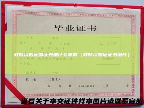 教师资格证的证书是什么样的(教师资格证证书图片)