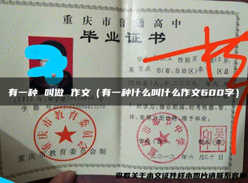 有一种 叫做 作文（有一种什么叫什么作文600字）