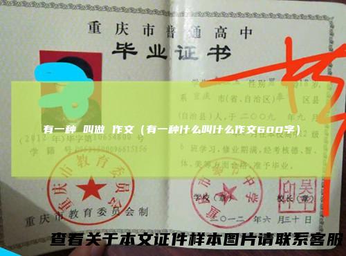 有一种叫做作文（有一种什么叫什么作文600字）