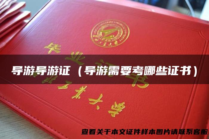 导游导游证（导游需要考哪些证书）