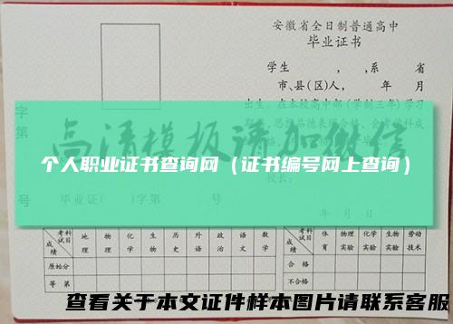 个人职业证书查询网（证书编号网上查询）