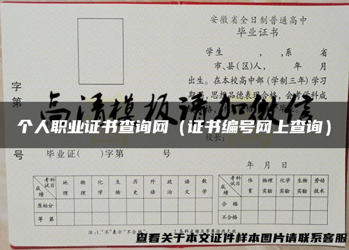 个人职业证书查询网（证书编号网上查询）