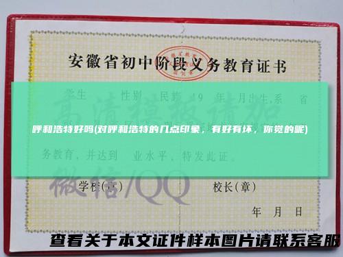 呼和浩特好吗(对呼和浩特的几点印象，有好有坏，你觉的呢)