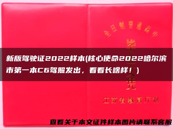 新版驾驶证2022样本(核心使命2022哈尔滨市第一本C6驾照发出，看看长啥样！)