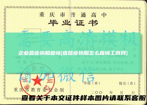 企业营业执照查询(查营业执照怎么查询工商网)