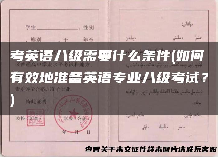 考英语八级需要什么条件(如何有效地准备英语专业八级考试？)