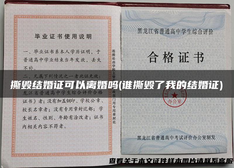 撕毁结婚证可以离婚吗(谁撕毁了我的结婚证)
