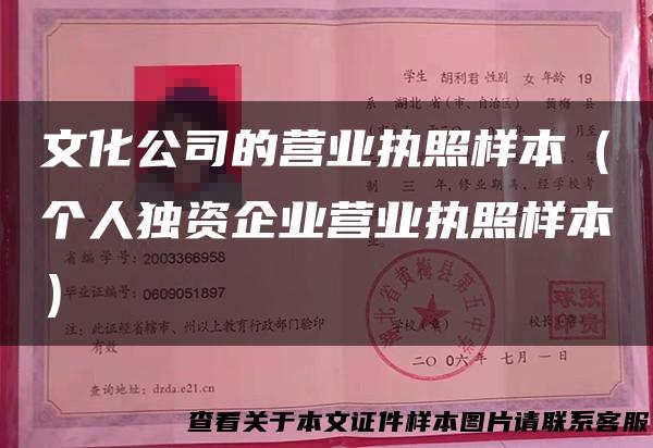 文化公司的营业执照样本（个人独资企业营业执照样本）
