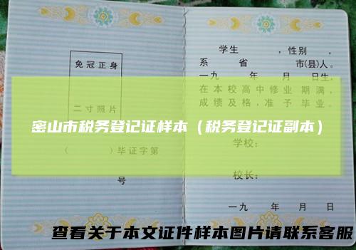 密山市税务登记证样本（税务登记证副本）
